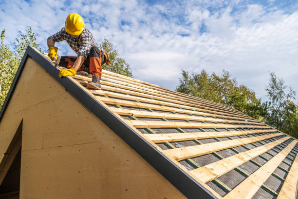 Best Roof Gutter Cleaning  in Salisbury, NY